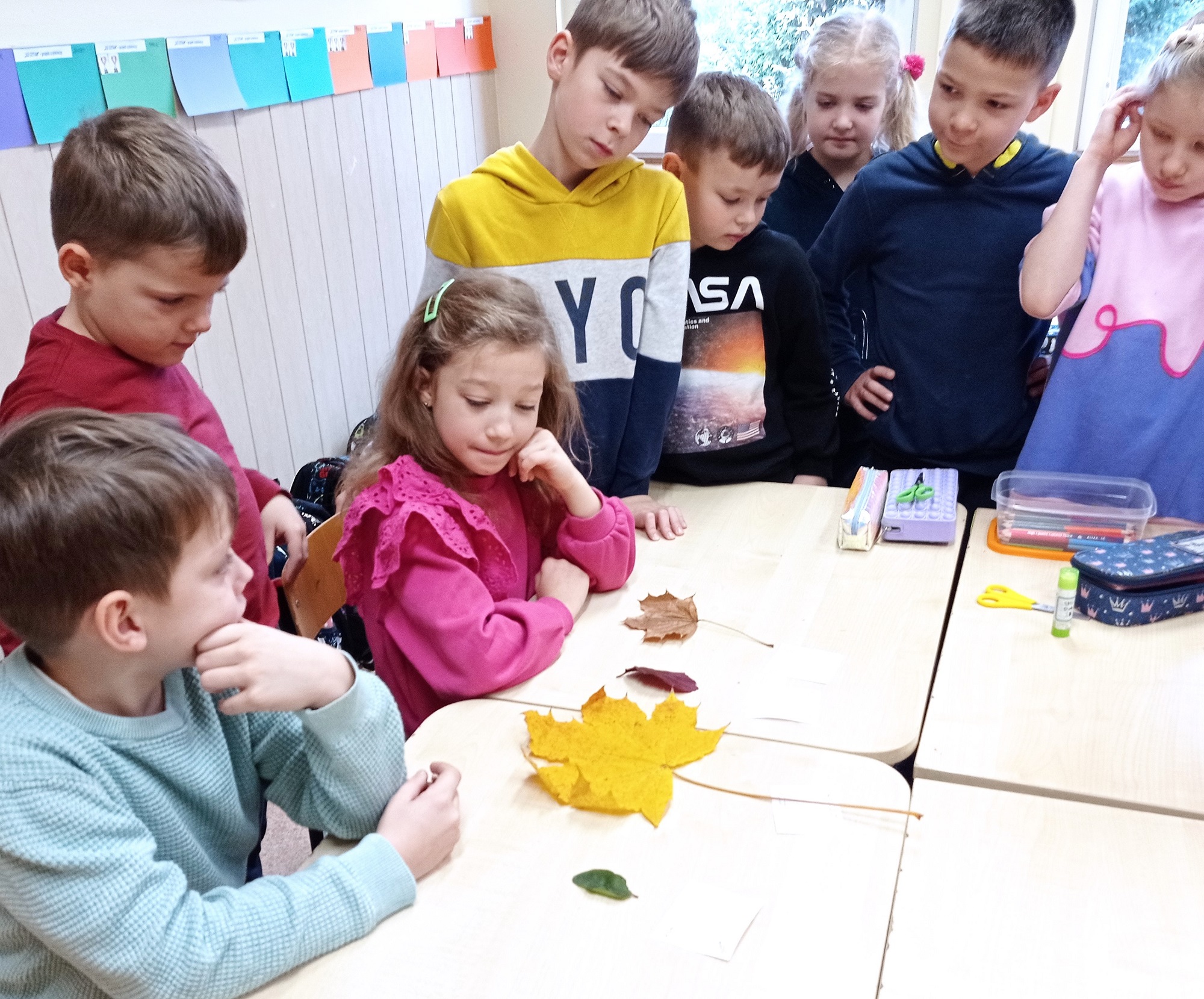 Sprawdzian Edukacja Przyrodnicza Kl 1